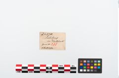 Etikett zu Bronzetüllenbeil (NHMW-PRAE-024570)